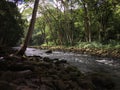 Path to Uluwehi Falls, Secret Falls in Summer in Wailua on Kauai Island in Hawaii. Royalty Free Stock Photo