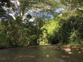 Path to Uluwehi Falls, Secret Falls in Summer in Wailua on Kauai Island in Hawaii. Royalty Free Stock Photo