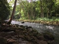 Path to Uluwehi Falls, Secret Falls in Summer in Wailua on Kauai Island in Hawaii. Royalty Free Stock Photo