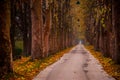 Path to Vrelo Bosne