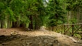 Path to waterfall Kamienczyk in Szklarska Poreba forest. Royalty Free Stock Photo