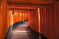 Path Through Torii Gates