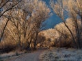 Path Toward the Storm Royalty Free Stock Photo