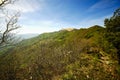 The path toward Lesima peak, Oltrepo Lombardy. Color image