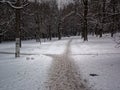 Path trampled in the snow-covered Park