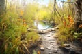 path of trampled vegetation by river