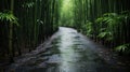 A Path Less Traveled: Journeying Through the Enigmatic Bamboo Grove, Generative AI