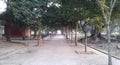 Path between trees in Flamengo Aterro - Rio de Janeiro - Brazil.