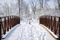 Path with trees and ground covered with snow in winter Royalty Free Stock Photo