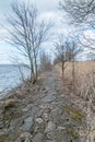 Path among trees to estuary Vistula River to the Baltic Sea at windy day