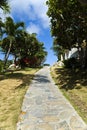 Path in a Tropical Garden Royalty Free Stock Photo