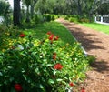 Path in tropics