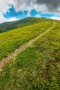 path trough alpine meadow