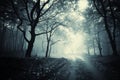 Path trough a dark mysterious forest with fog Royalty Free Stock Photo