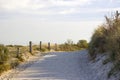 Path trough the dunes in the Netherlands