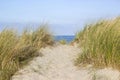 Path trough the dunes, Renesse, the Netherlands Royalty Free Stock Photo