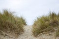 Path trough the dunes, Renesse, the Netherlands