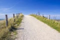 Path trough the dunes, Zoutelande, the Netherlands Royalty Free Stock Photo