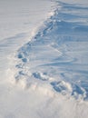 The path on the tundra