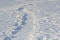 The path on the tundra in the snow