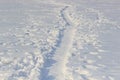 The path on the tundra in the snow