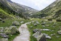 Path through Tyroler Ziller Valley, Austria