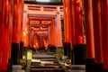 Path underneath the countless Torii gates of Fushimi Inari..(Kyoto, Japan - 08/08/2017 Royalty Free Stock Photo