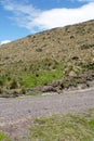 Path on the side of a mountain in the Antisana Ecological Reserve, Ecuador Royalty Free Stock Photo