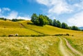 Path uphill through grassy meadow Royalty Free Stock Photo