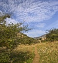 Path in a valley