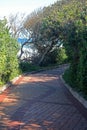 PATH AND VEGETATION NEXT TO THE SEA