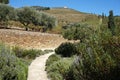 Path and Vineyards in the Douro Valley in Portugal