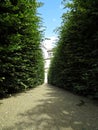 Path Walk in Maze Garden Labyrinth Bushes Royalty Free Stock Photo