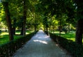 Path walk of a park with green vegetation and trees Royalty Free Stock Photo