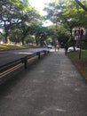 Path for walkers and cyclers covered by trees