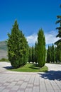 A path or a walkway in a landscaped area that is bordered by trees