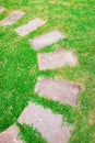 Rock path way decorative on green grass Royalty Free Stock Photo