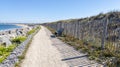 Path way aside beach to Cap-Ferret sea atlantic ocean in gironde france Royalty Free Stock Photo