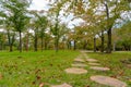 Path way in the green garden comprise of various deciduous trees Royalty Free Stock Photo