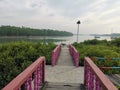 The beautiful path in the middle of mangrove forest. Royalty Free Stock Photo
