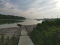 The path-way in the middle of mangrove forest.