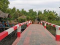 The path-way in the middle of mangrove forest.