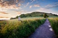 Cley hill, Wiltshire, in June