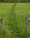 A path well traveled Great Smoky Mountain National Park Royalty Free Stock Photo