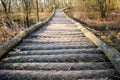 Path through wet forest