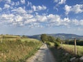 Path where the pilgrims walk in the Camino de Santiago, Galicia, Spain. Royalty Free Stock Photo