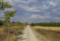 Path where the pilgrims walk in the Camino de Santiago, Leon, Spain. Royalty Free Stock Photo