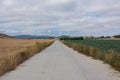 Path where the pilgrims walk among the cereal field in Castilla y Leon. Camino de Santiago, Spain.