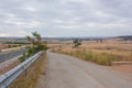 Path where the pilgrims walk among the cereal field in La Rioja. Camino de Santiago, Spain.