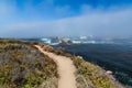 Path through wildflowers above the sea at Point Lobos, California